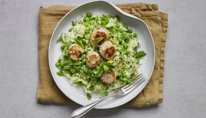 Scallop Risotto Recipe
