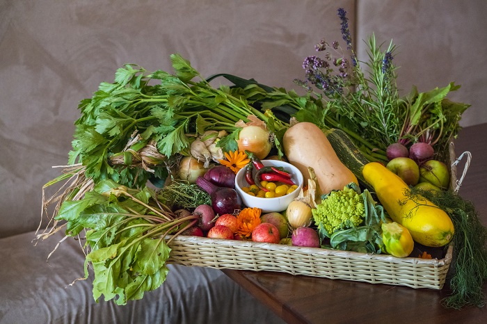 The Ice House Harvest Dinner Promises a Memorable Autumnal Feast this October