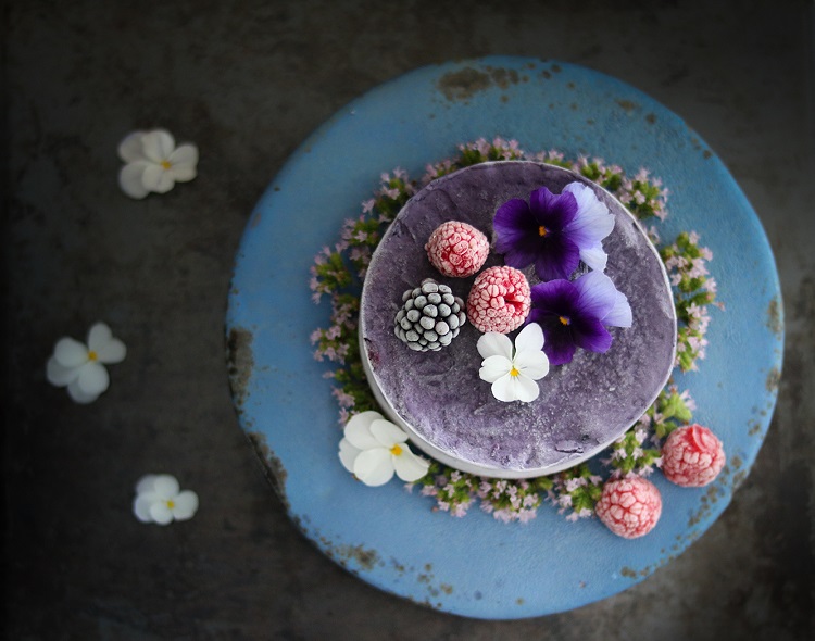 Frozen Blueberry Cheesecake Recipe 2
