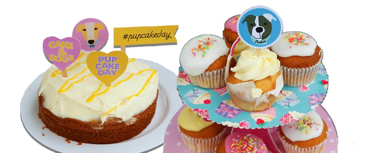 Pupcake Day Dogs Trust