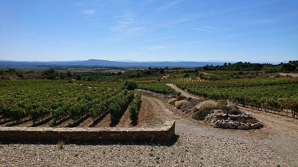 Field of Dreams A Spiritual Quest to Reimagine the Languedoc 14