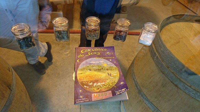 ield of Dreams - Gerard Bertrand's Spiritual Quest to Reimagine the Languedoc