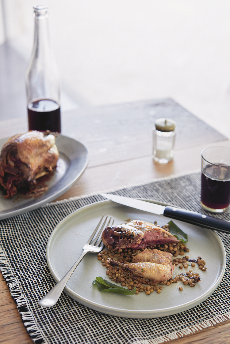 Pigeon Recipe 1