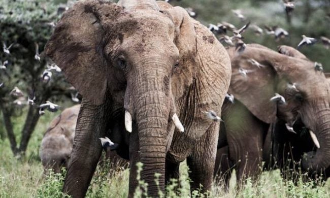 Kenya