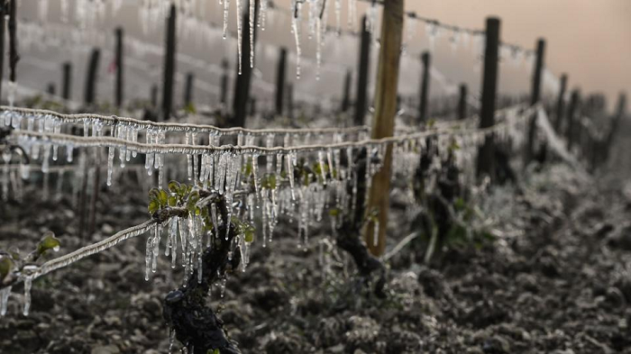 The Wine Trends that Made 2017 and the Sommelier Secrets for What 2018 Brings