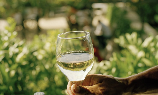 low calorie wine