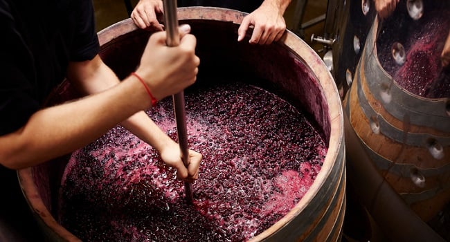 A Look into the Backstage of Winemaking - The Journey of Wine from Grape to Glass