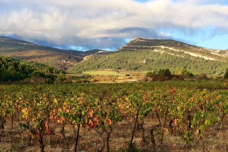 Unmissable Wine Dinner