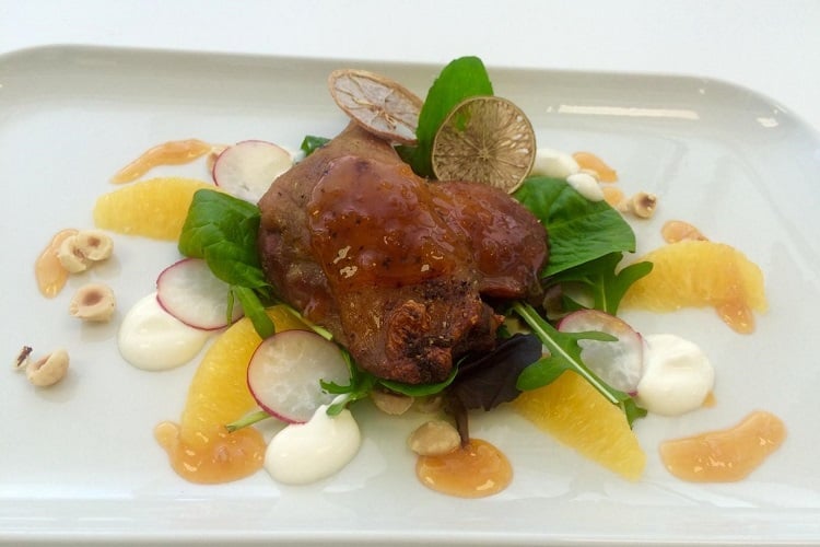Duck