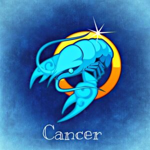 Wine Horoscope 2019