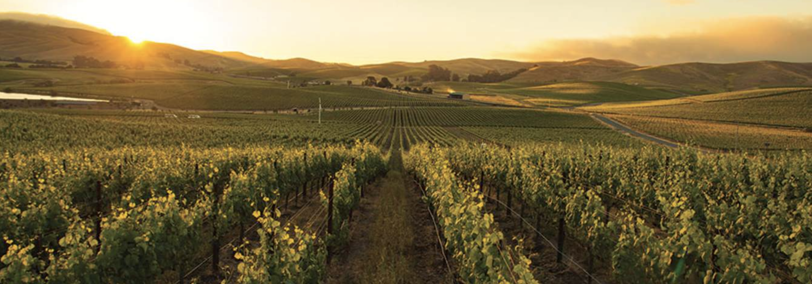 Day Trips from San Francisco - Taste Travel Guide