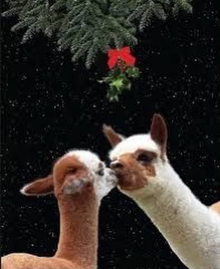 Christmas Markets
